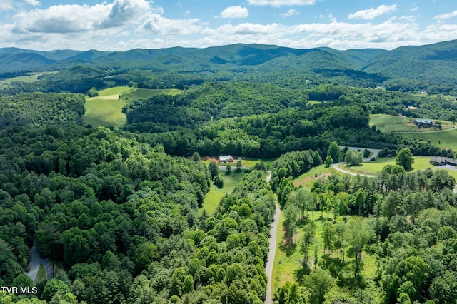 TBD00 Laurelwood Dr, Mountain City, TN 37683 - photo 20