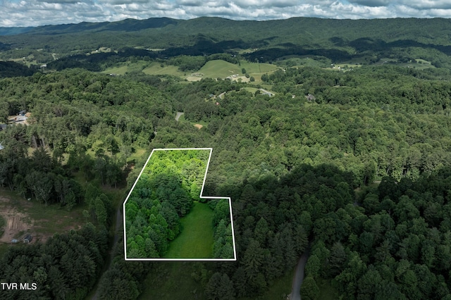 TBD00 Laurelwood Dr, Mountain City, TN 37683 - photo 21