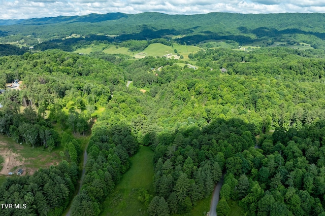 TBD00 Laurelwood Dr, Mountain City, TN 37683 - photo 22