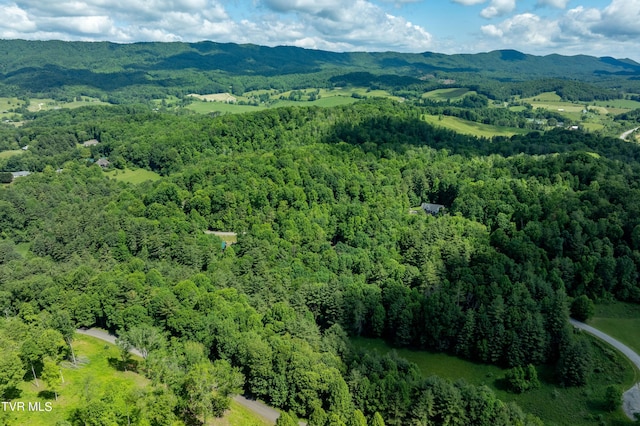 TBD00 Laurelwood Dr, Mountain City, TN 37683 - photo 23