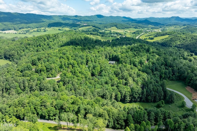 TBD00 Laurelwood Dr, Mountain City, TN 37683 - photo 24