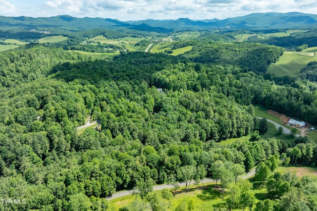 TBD00 Laurelwood Dr, Mountain City, TN 37683 - photo 25