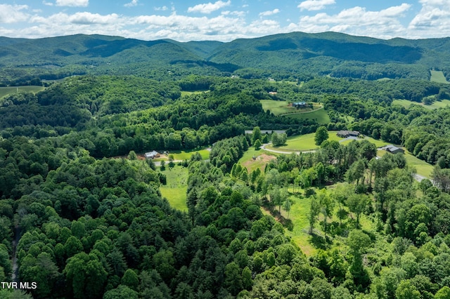 TBD00 Laurelwood Dr, Mountain City, TN 37683 - photo 26
