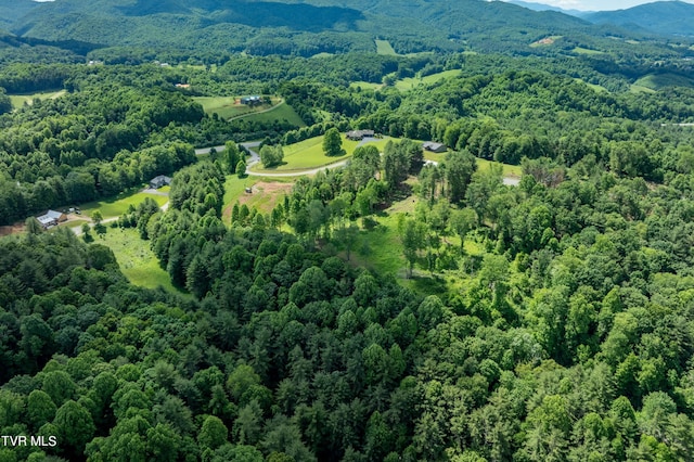 TBD00 Laurelwood Dr, Mountain City, TN 37683 - photo 27
