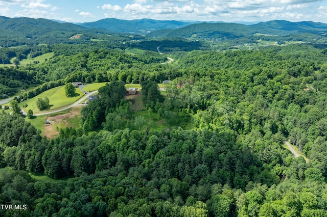 TBD00 Laurelwood Dr, Mountain City, TN 37683 - photo 28