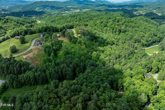 TBD00 Laurelwood Dr, Mountain City, TN 37683 - photo 29