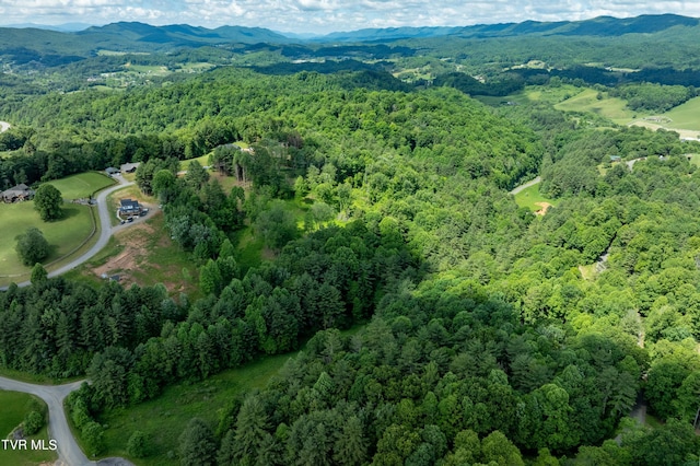 TBD00 Laurelwood Dr, Mountain City, TN 37683 - photo 30