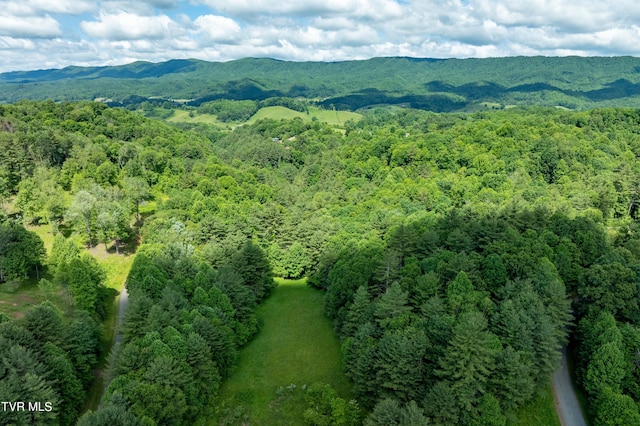 TBD00 Laurelwood Dr, Mountain City, TN 37683 - photo 31
