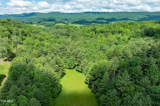 TBD00 Laurelwood Dr, Mountain City, TN 37683 - photo 32
