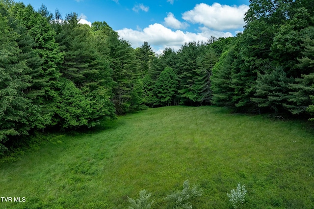 TBD00 Laurelwood Dr, Mountain City, TN 37683 - photo 33