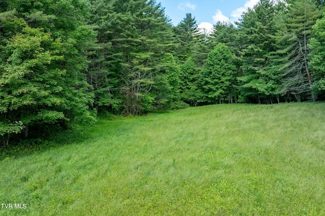 TBD00 Laurelwood Dr, Mountain City, TN 37683 - photo 34