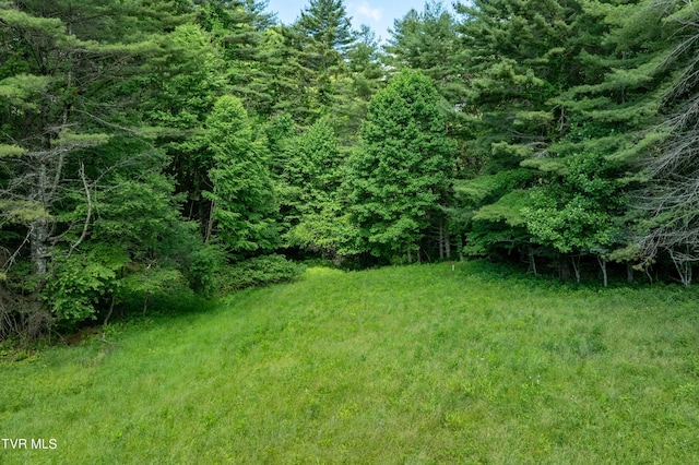 TBD00 Laurelwood Dr, Mountain City, TN 37683 - photo 35
