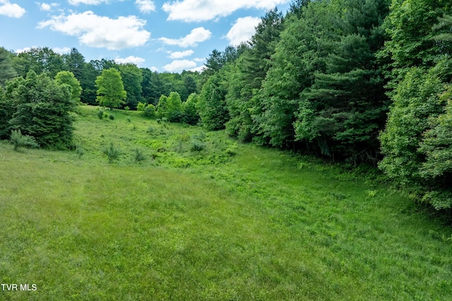 TBD00 Laurelwood Dr, Mountain City, TN 37683 - photo 36