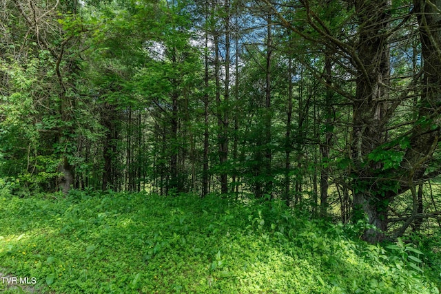 TBD00 Laurelwood Dr, Mountain City, TN 37683 - photo 38