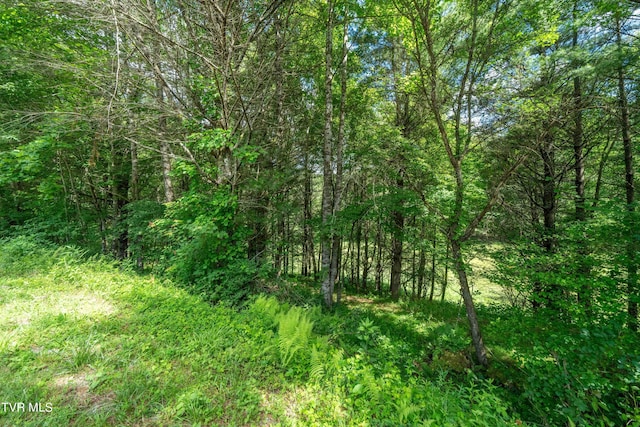 TBD00 Laurelwood Dr, Mountain City, TN 37683 - photo 39