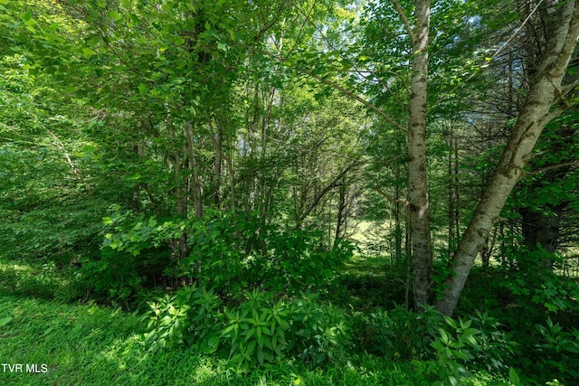 TBD00 Laurelwood Dr, Mountain City, TN 37683 - photo 40