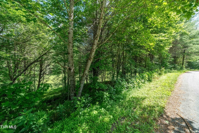 TBD00 Laurelwood Dr, Mountain City, TN 37683 - photo 41