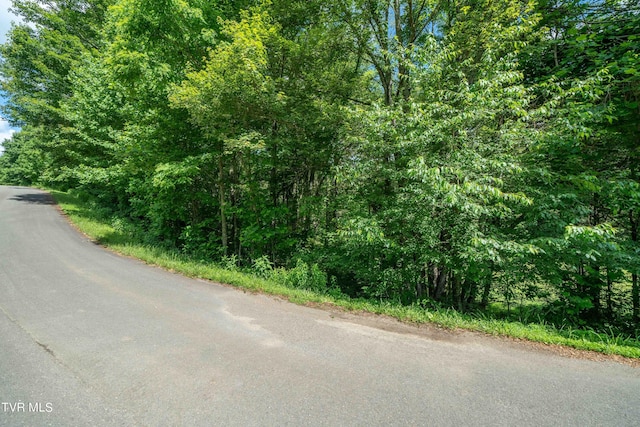 TBD00 Laurelwood Dr, Mountain City, TN 37683 - photo 42