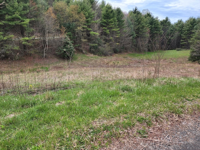 TBD Laurel Way, Mountain City TN, 37683 land for sale