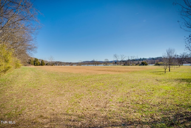 view of yard featuring a rural view