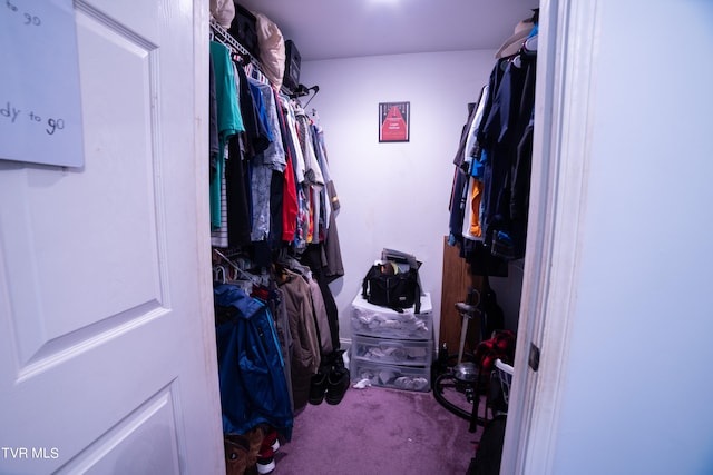 spacious closet with carpet