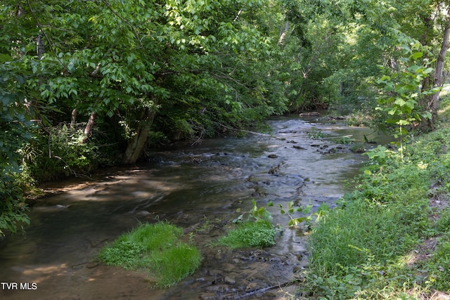 view of local wilderness featuring a water view