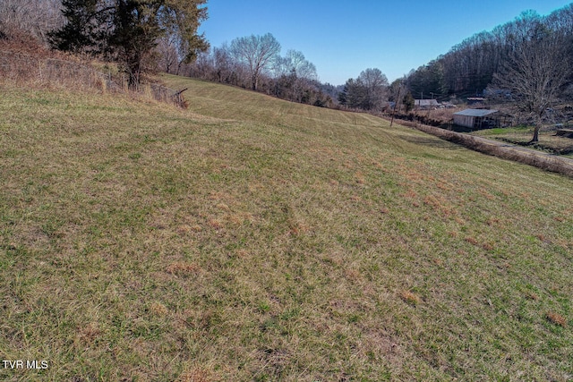 view of yard with a rural view