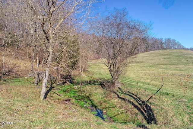 view of local wilderness