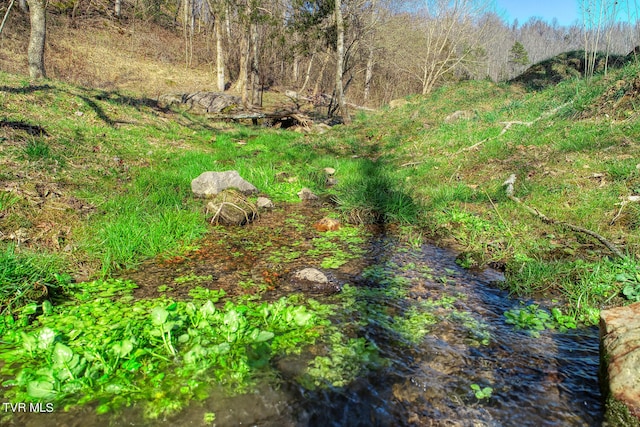 view of nature with a water view