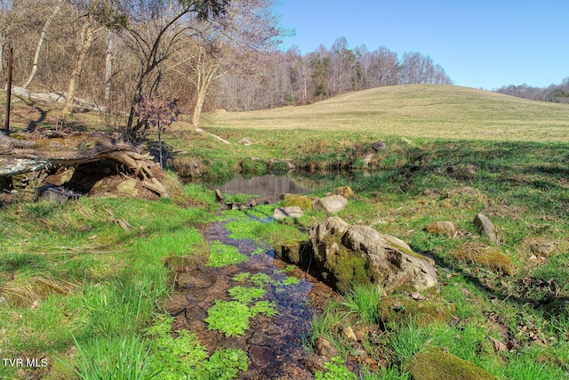 view of mother earth's splendor