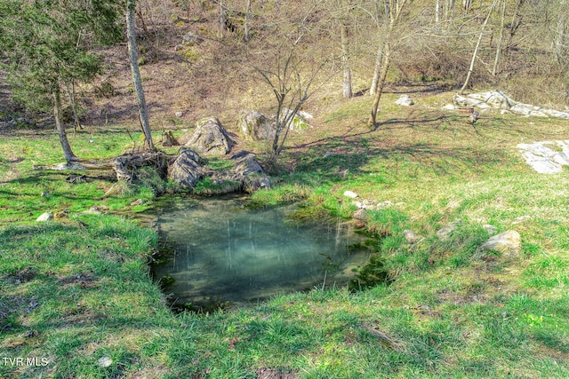 view of yard featuring a water view