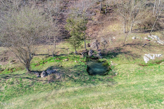 view of yard featuring a water view