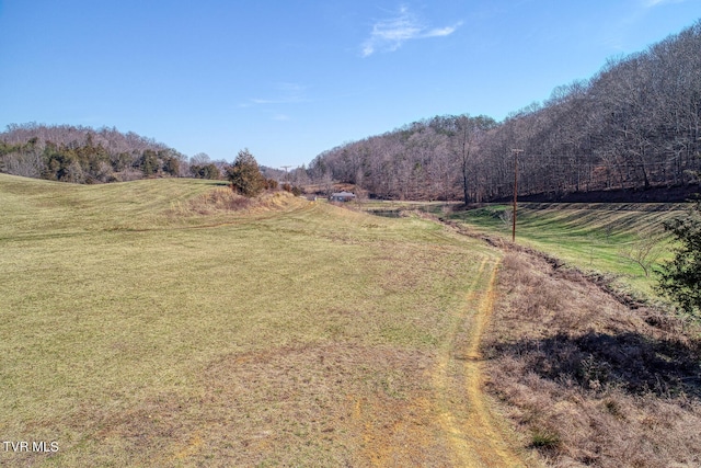 view of yard featuring a rural view