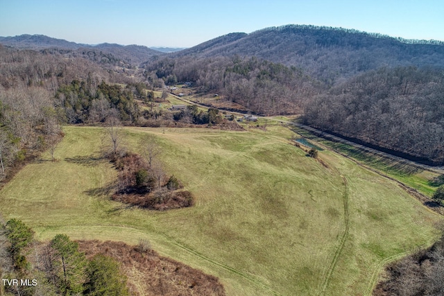 birds eye view of property featuring a rural view and a mountain view