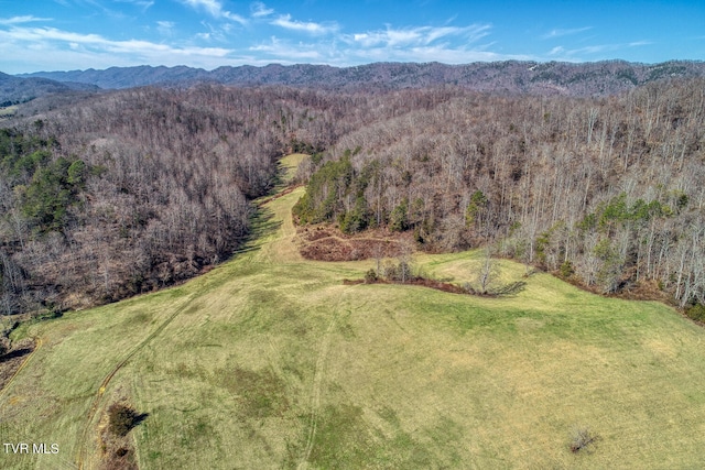 drone / aerial view with a mountain view