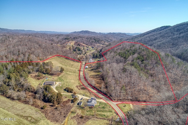 aerial view with a mountain view