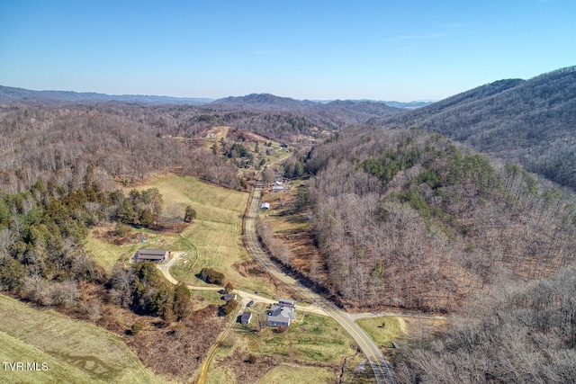 bird's eye view with a mountain view