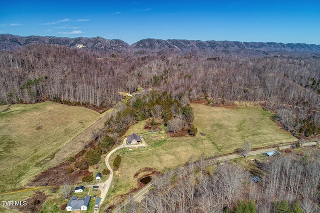 aerial view with a mountain view