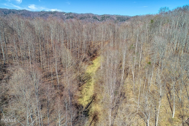 view of mountain feature