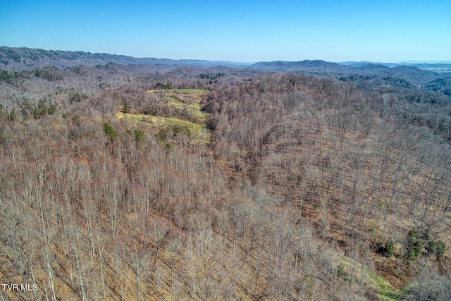 view of mountain view