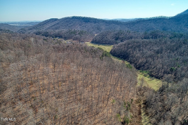 view of mountain feature