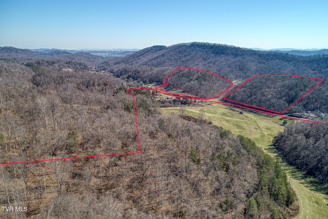 aerial view with a mountain view