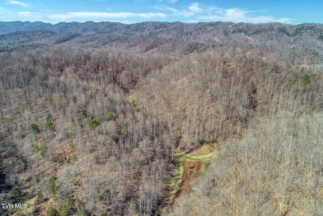 bird's eye view featuring a mountain view