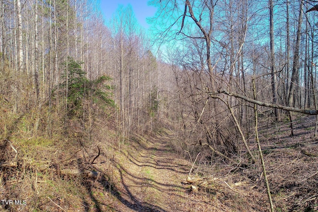 view of mother earth's splendor