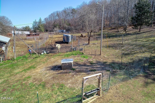 view of yard featuring a rural view