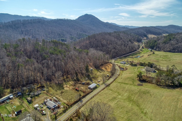 birds eye view of property featuring a mountain view