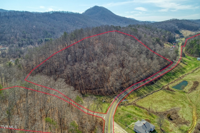 birds eye view of property featuring a mountain view