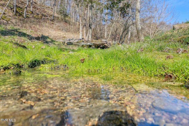 view of local wilderness with a water view