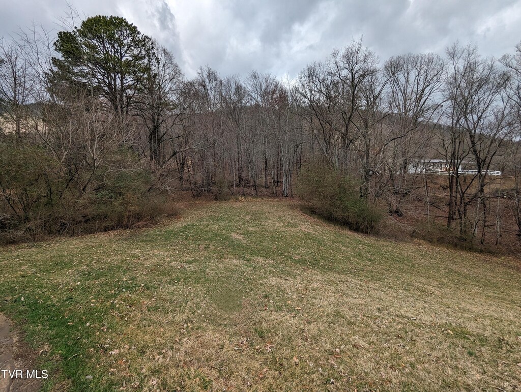 TBD Dogwood St, Weber City, VA 24290 - photo 1