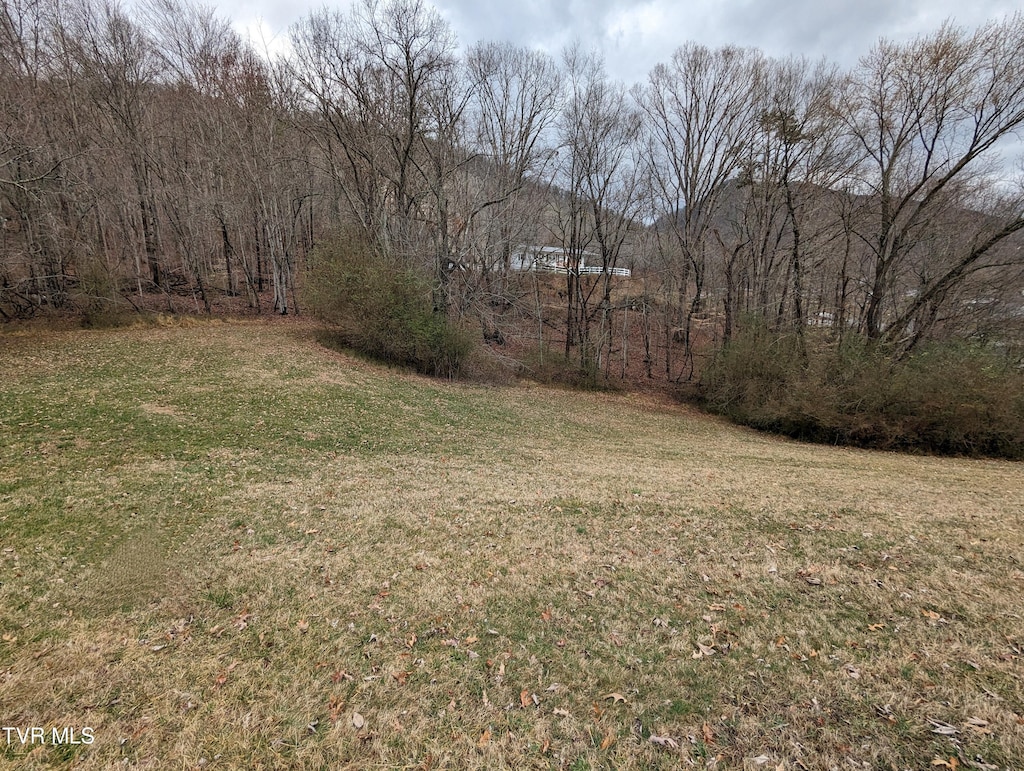 TBD Dogwood St, Weber City, VA 24290 - photo 2